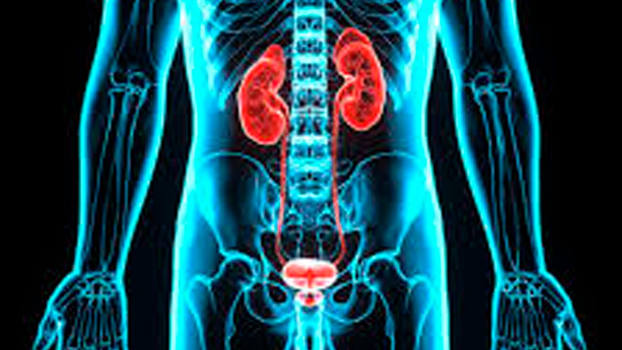 Dúo de medicamentos contra el cáncer duplica la supervivencia en cáncer de vejiga avanzado