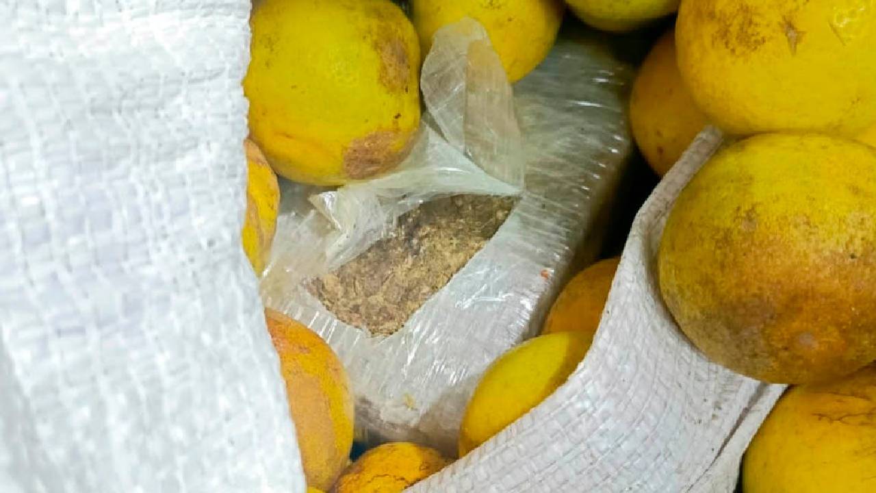 Mujer transportaba más de 80 kilos de droga camuflada en naranjas desde Entre Ríos a Santa Cruz