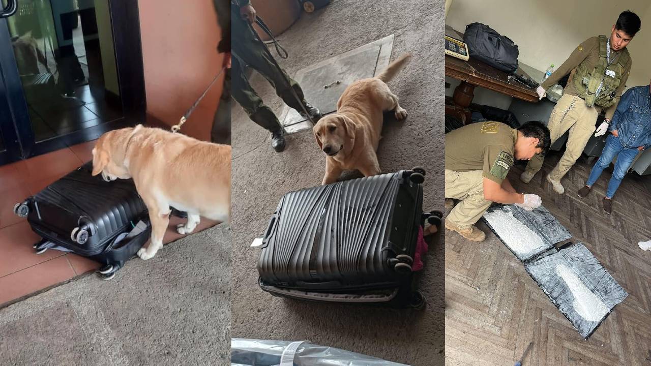La Policía Boliviana detiene a traficante de drogas en el Aeropuerto de Cochabamba con ayuda del can detector "Barni"