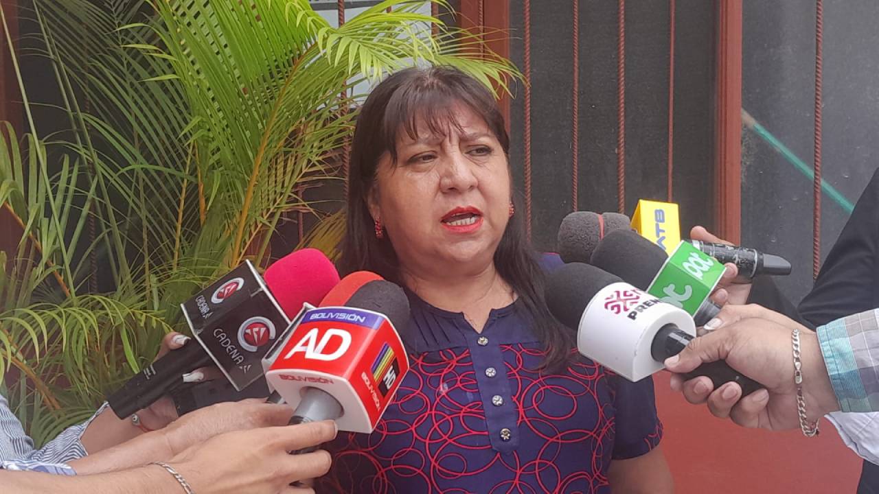 Diputada del MAS insta a revisar observaciones del Tribunal Constitucional en elecciones judiciales de Bolivia