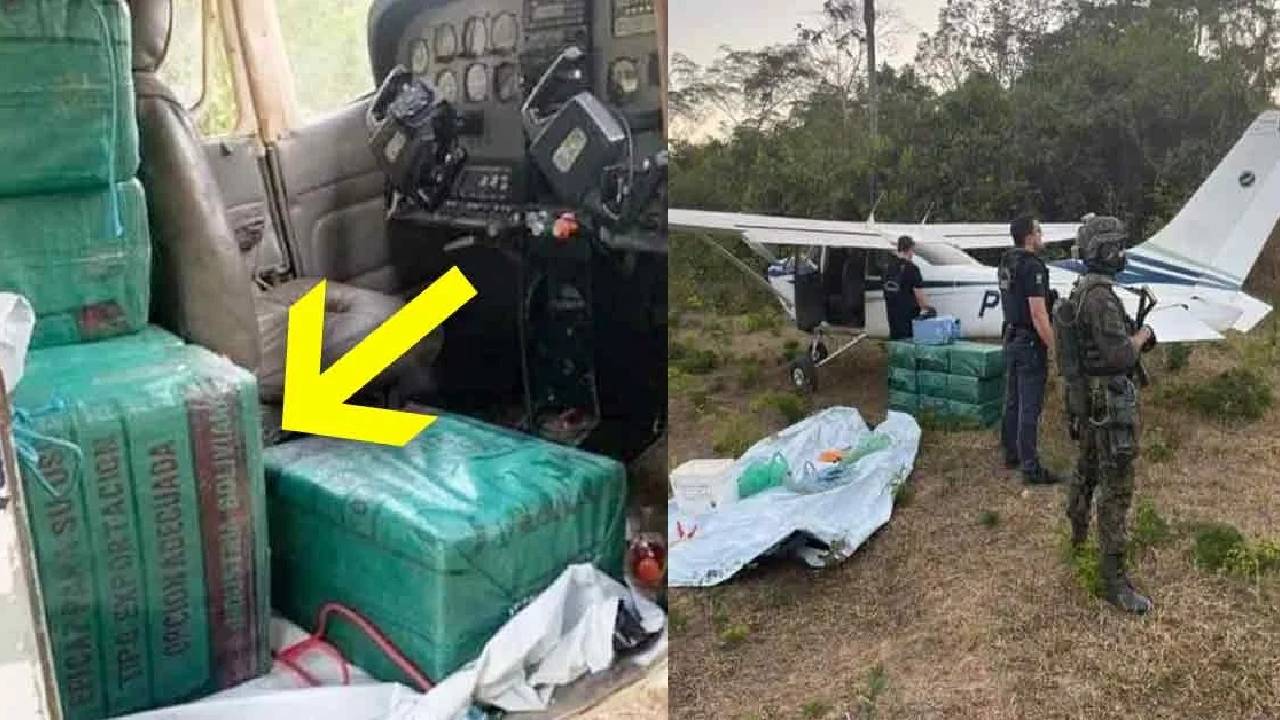Cae avioneta boliviana con 465 kilos de droga en la frontera de Brasil con el parque Noel Kempff