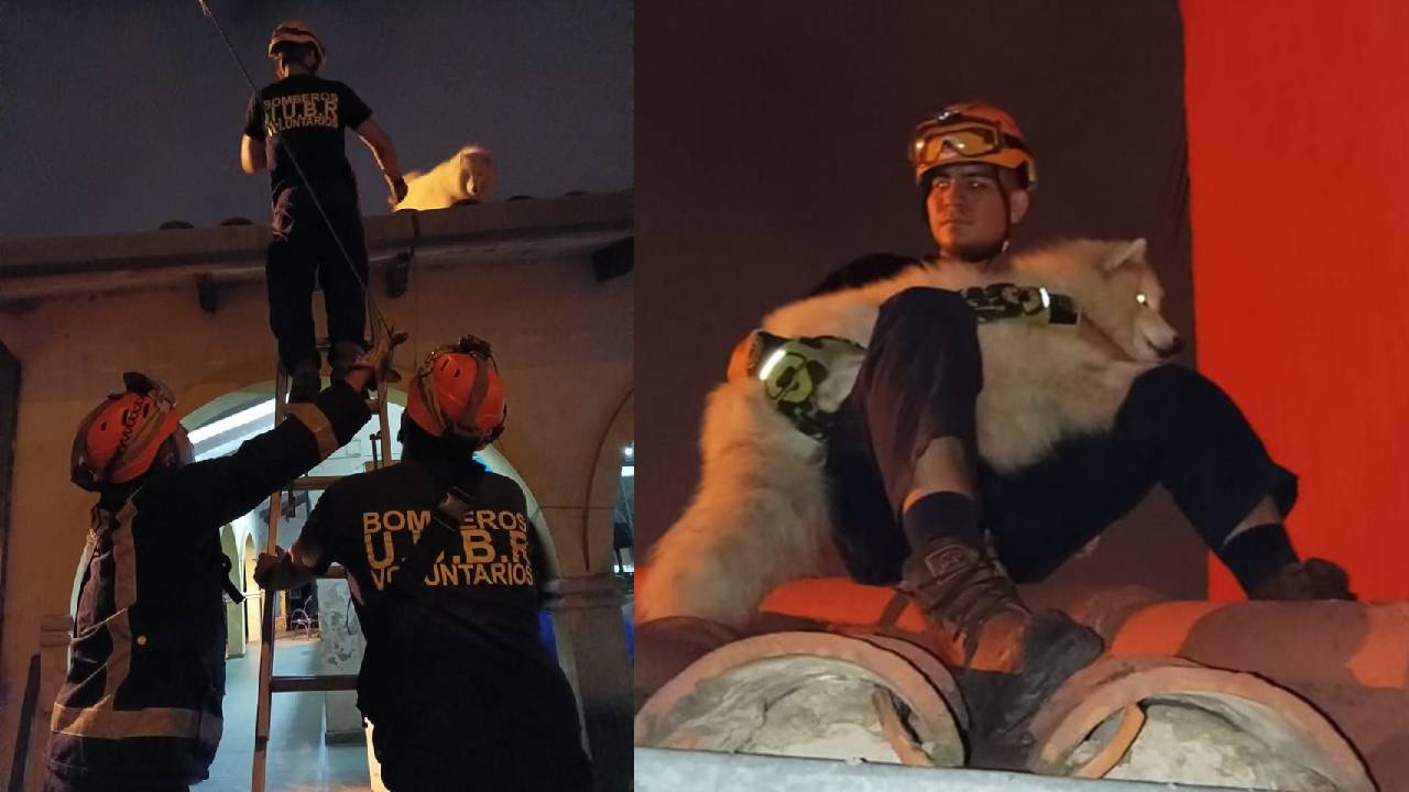 Increíble rescate de perrito en apuros en Av Doble vía la Guardia