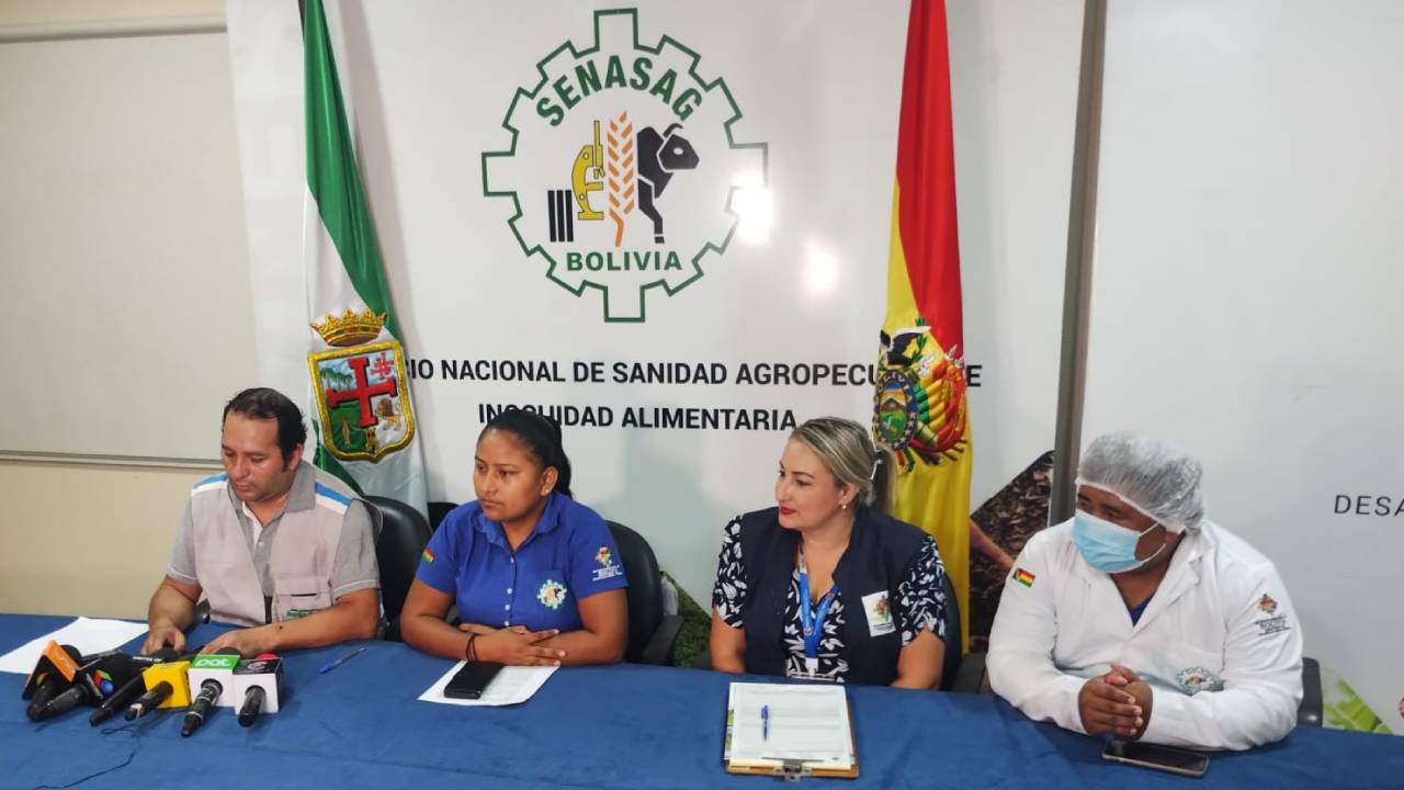 Autoridades preparan operativos para decomisar pescados en mal estado durante Semana Santa