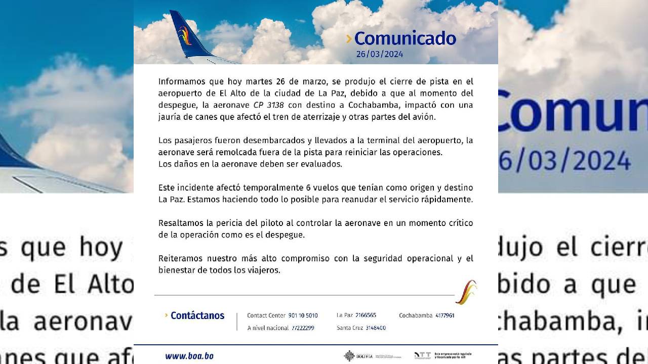 BOA suspende vuelo de La Paz a Cochabamba debido a incidente con una jauría de perros en la pista del aeropuerto