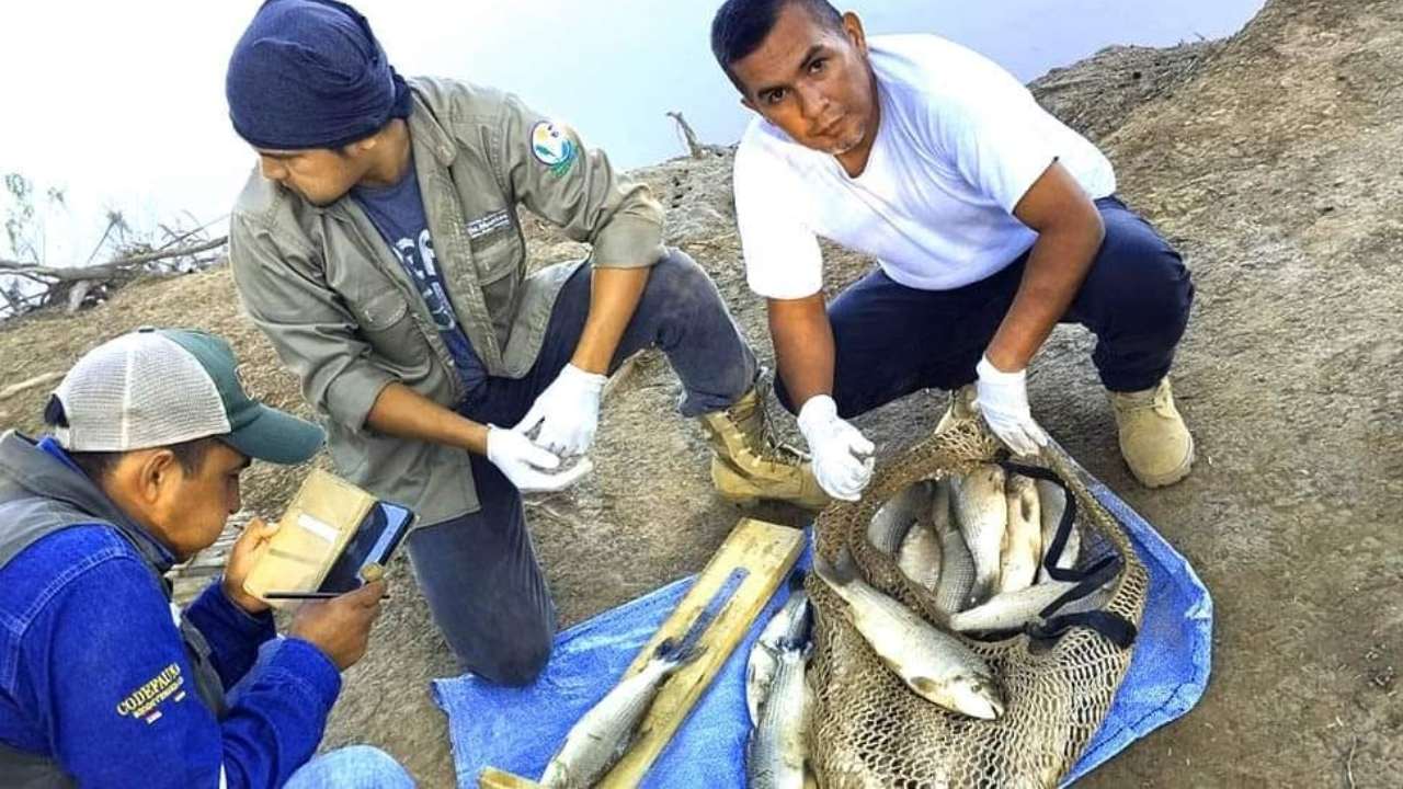 CODEFAUNA Villa Montes y Tarija realizan tercer monitoreo en la cuenca baja del río Pilcomayo