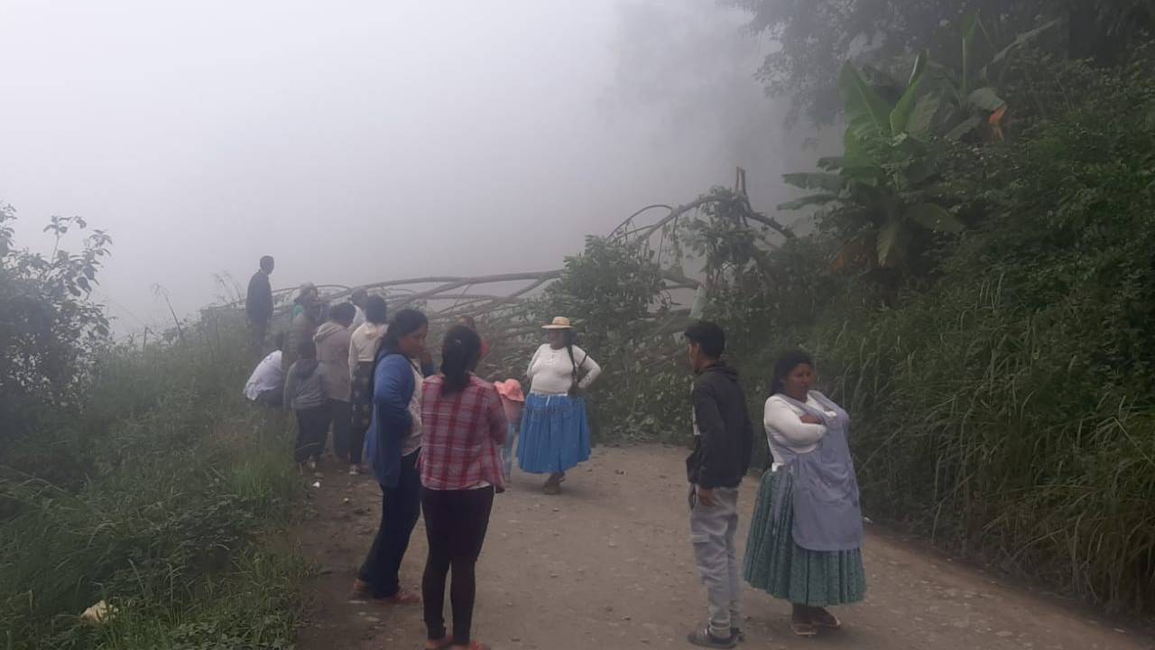 Pobladores de Las Lomas bloquean carretera en Sud Yungas por falta de mantenimiento vial
