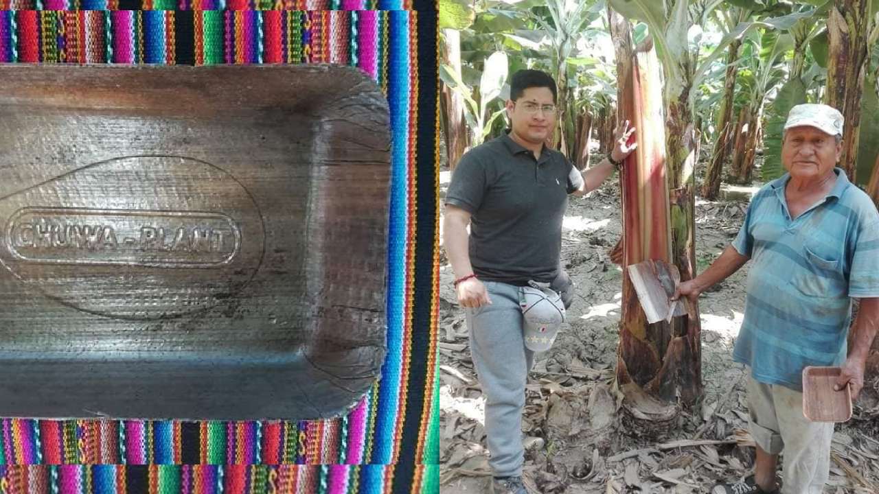 Perú: crean platos con hojas de plátano, se degradan en sólo 60 días