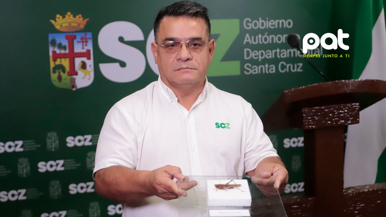 Gobernación monitorea la presencia de langostas voladoras en 3 municipios