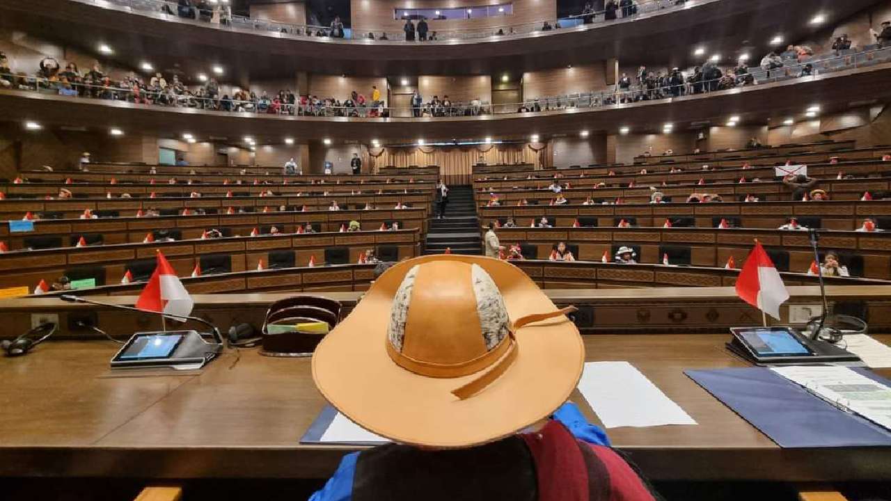 Encuentro especial en la cámara de diputados para garantizar los derechos de la infancia