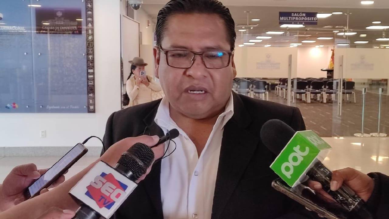 "No Existe Manipulación en las Elecciones Judiciales", Asegura Diputado del MAS ante Acusaciones del Ministro de Justicia