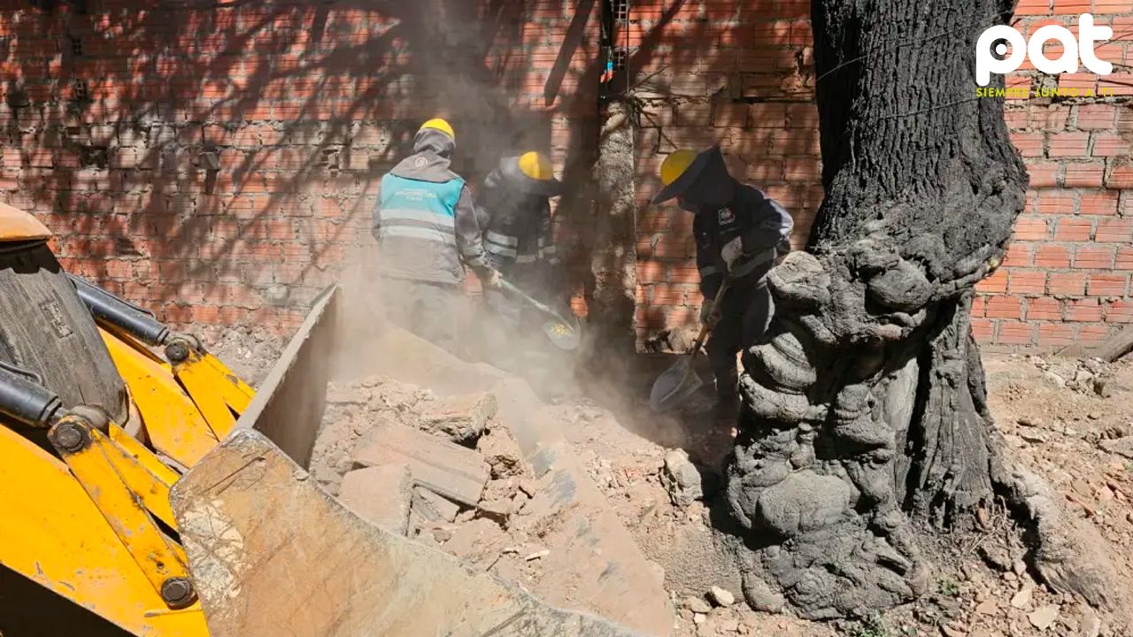 Registro masivo de 175 predios por un ciudadano sin derecho propietario