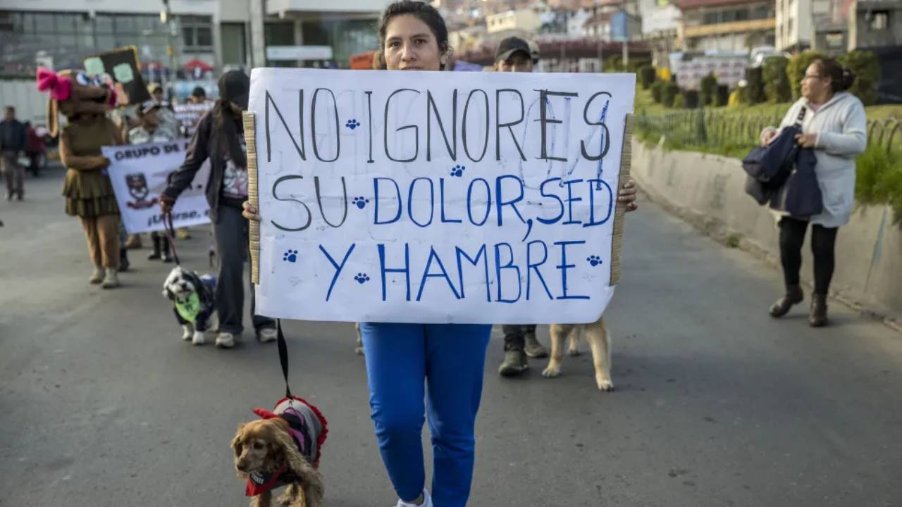  Marcha en La Paz por los derechos de los animales: Llamado a la conciencia y acción
