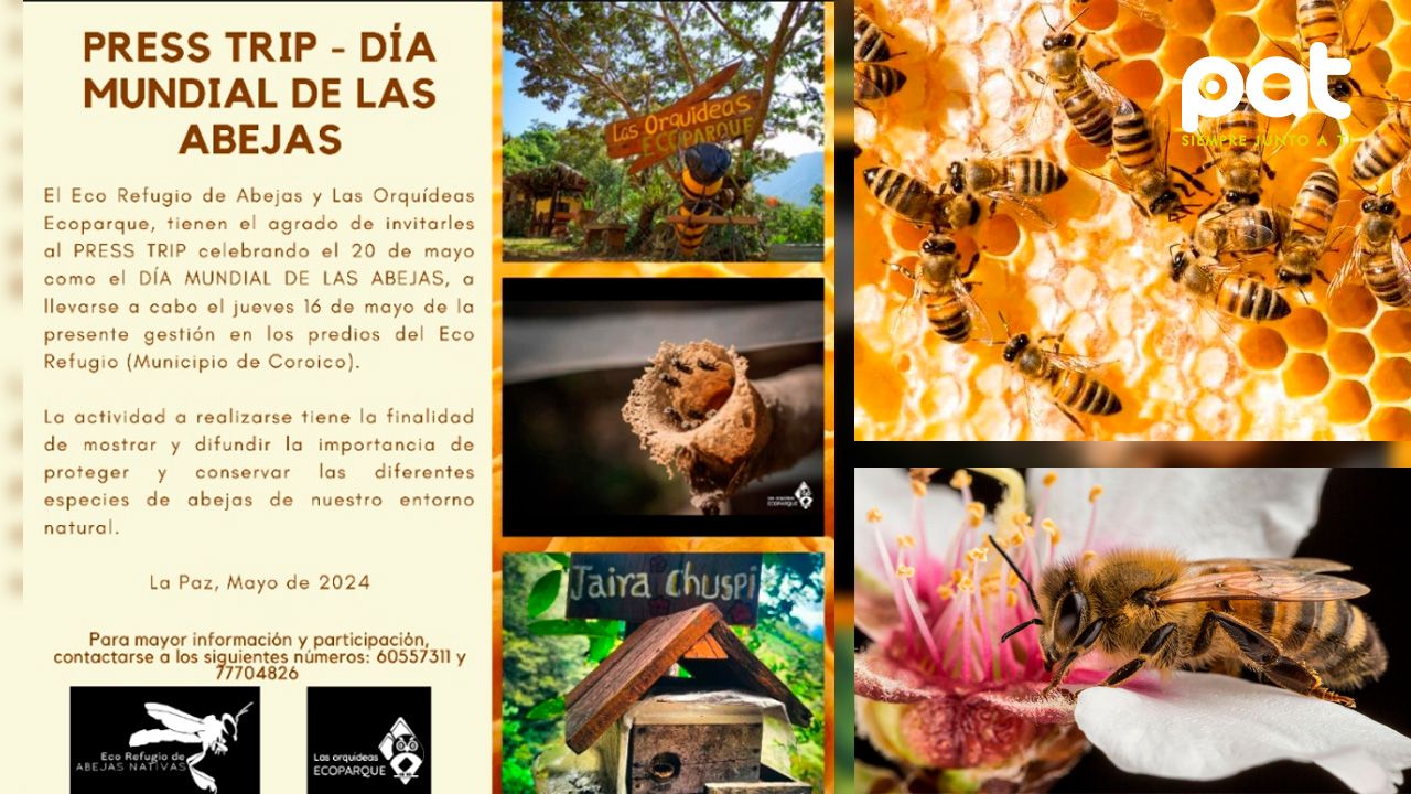 ¡Celebremos juntos el Día Mundial de las Abejas en el Eco-Refugio de Abejas en Coroico!