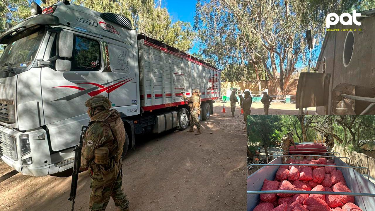 Incautan camión con semillas de procedencia ilícita en operativo del Comando Estratégico Operacional de Lucha Contra el Contrabando