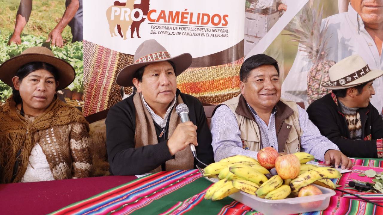 Gobierno entrega medio millón de Bolivianos en incentivos a ahorristas productores y transformadores de camélidos