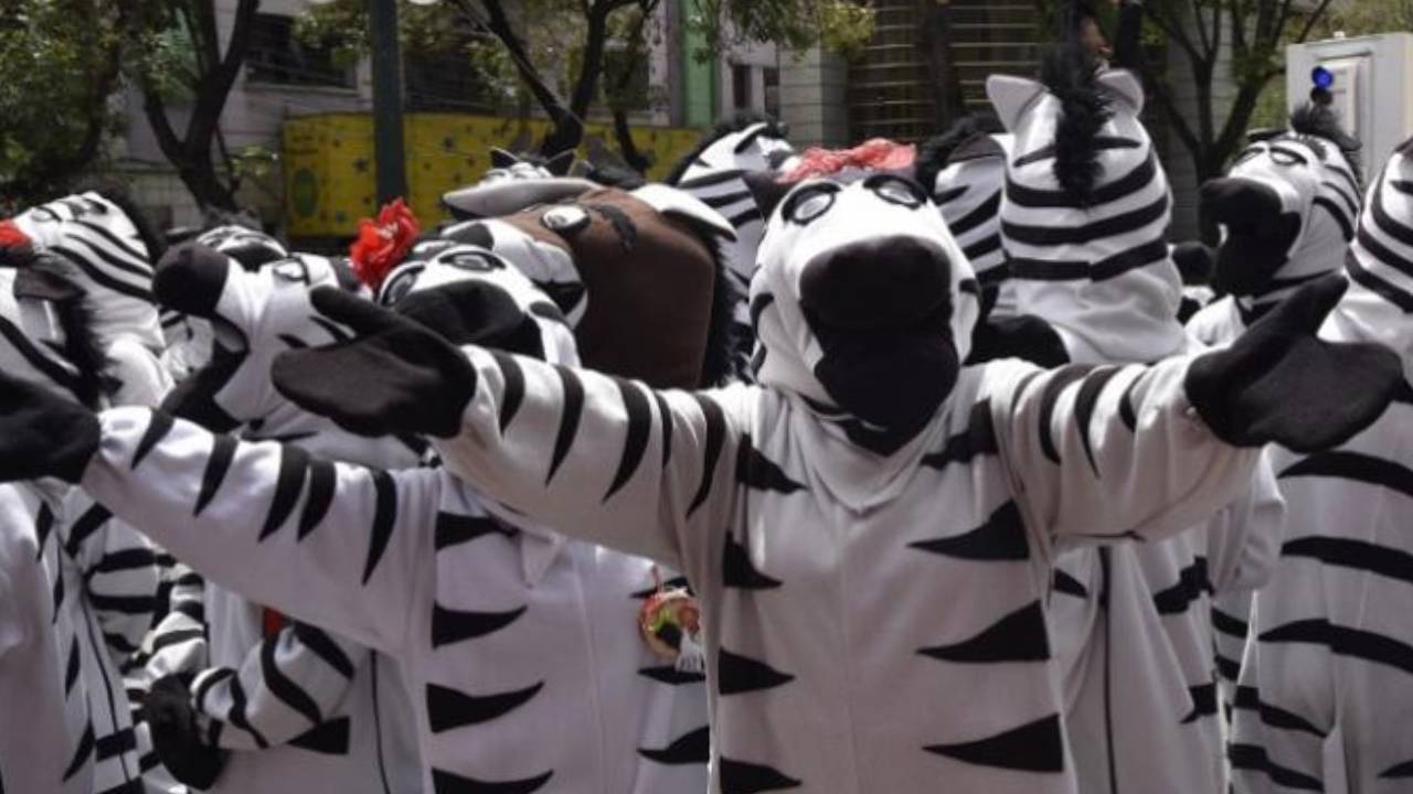 Las "cebritas" retornarán a las calles de La Paz tras aprobación del Concejo Municipal