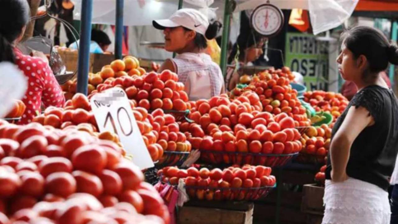  Escasez de tomate en Bolivia: Sequía y contrabando impactan la producción