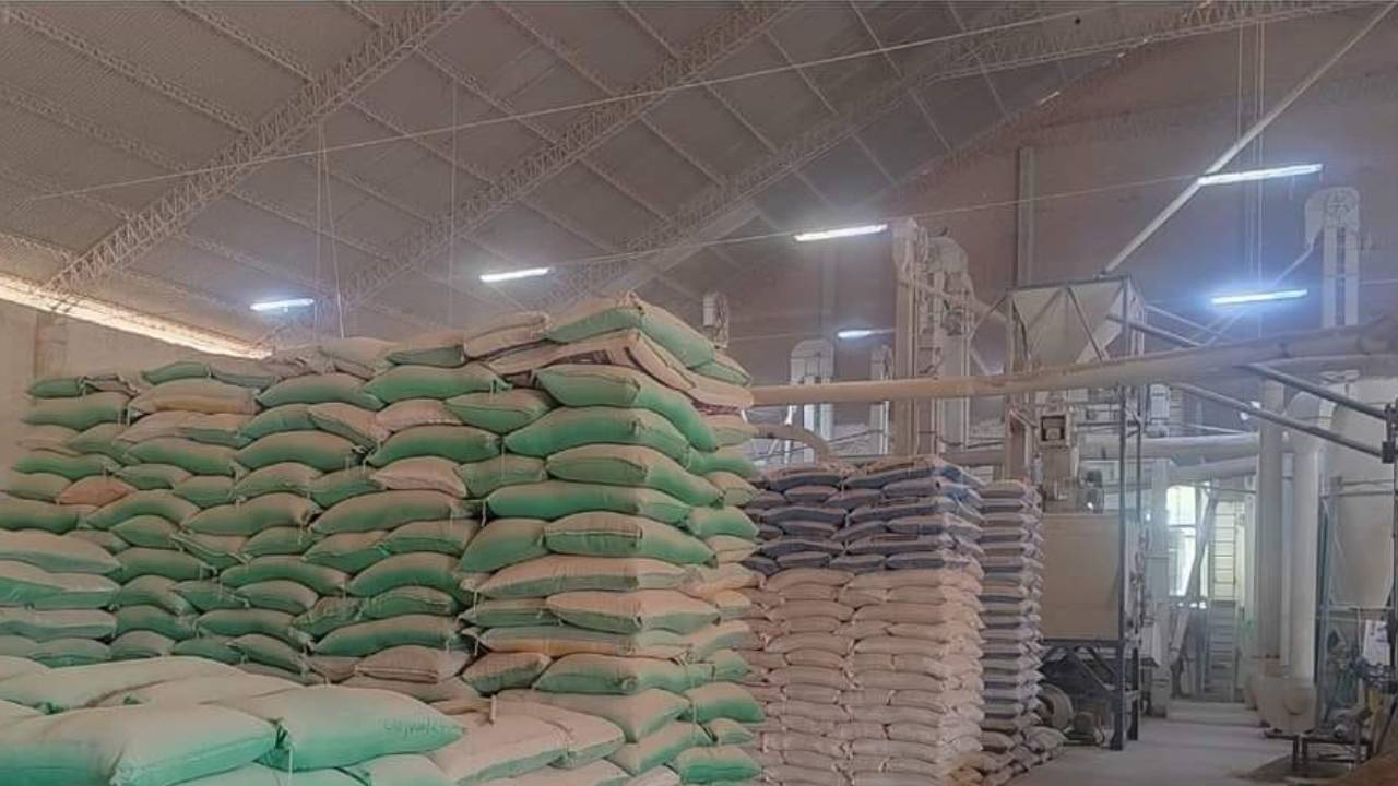 Encuentran arroz oculto en Depósitos Privados