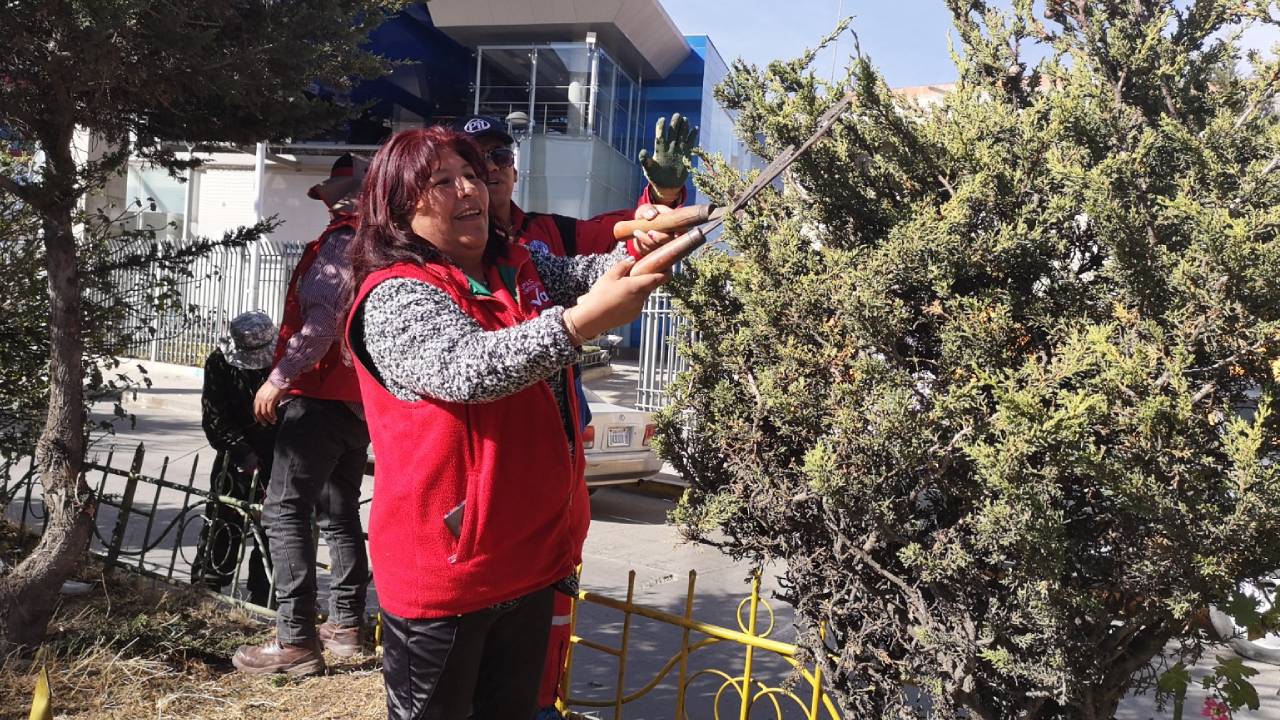 Distrito 6 realiza poda masiva de árboles en avenidas Sucre A y B