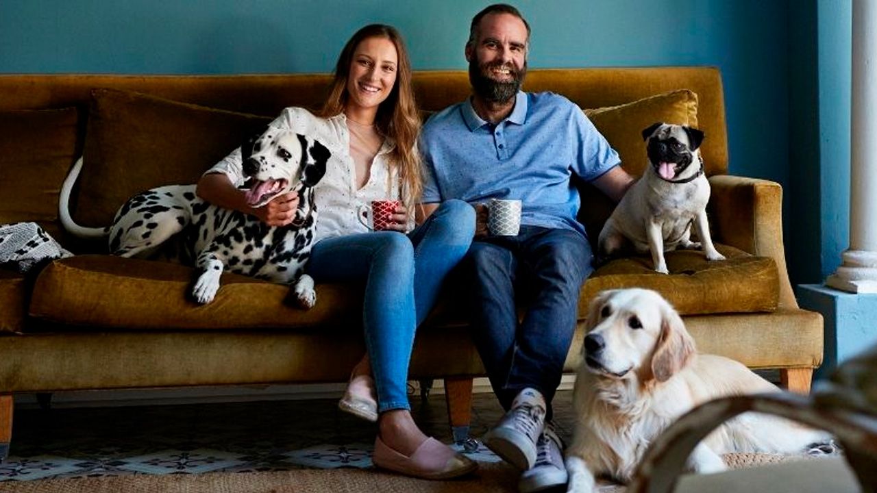 ¿Qué es "Pre-pup", la iniciativa que busca una solución a la tenencia de mascotas luego de una separación?