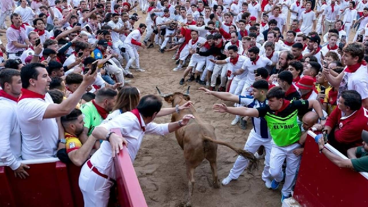 Seis Heridos en el Primer Encierro de Toros de San Fermín en España