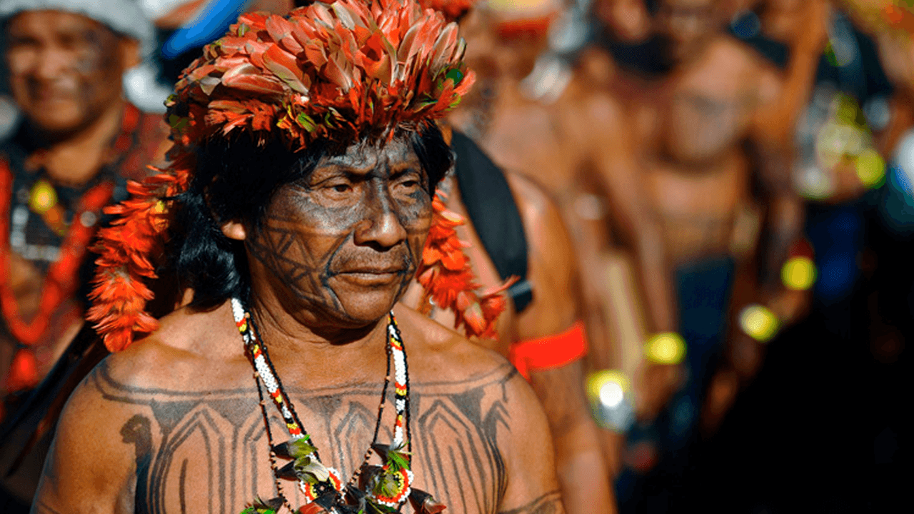 Tribus en Brasil: investigan posible genocidio