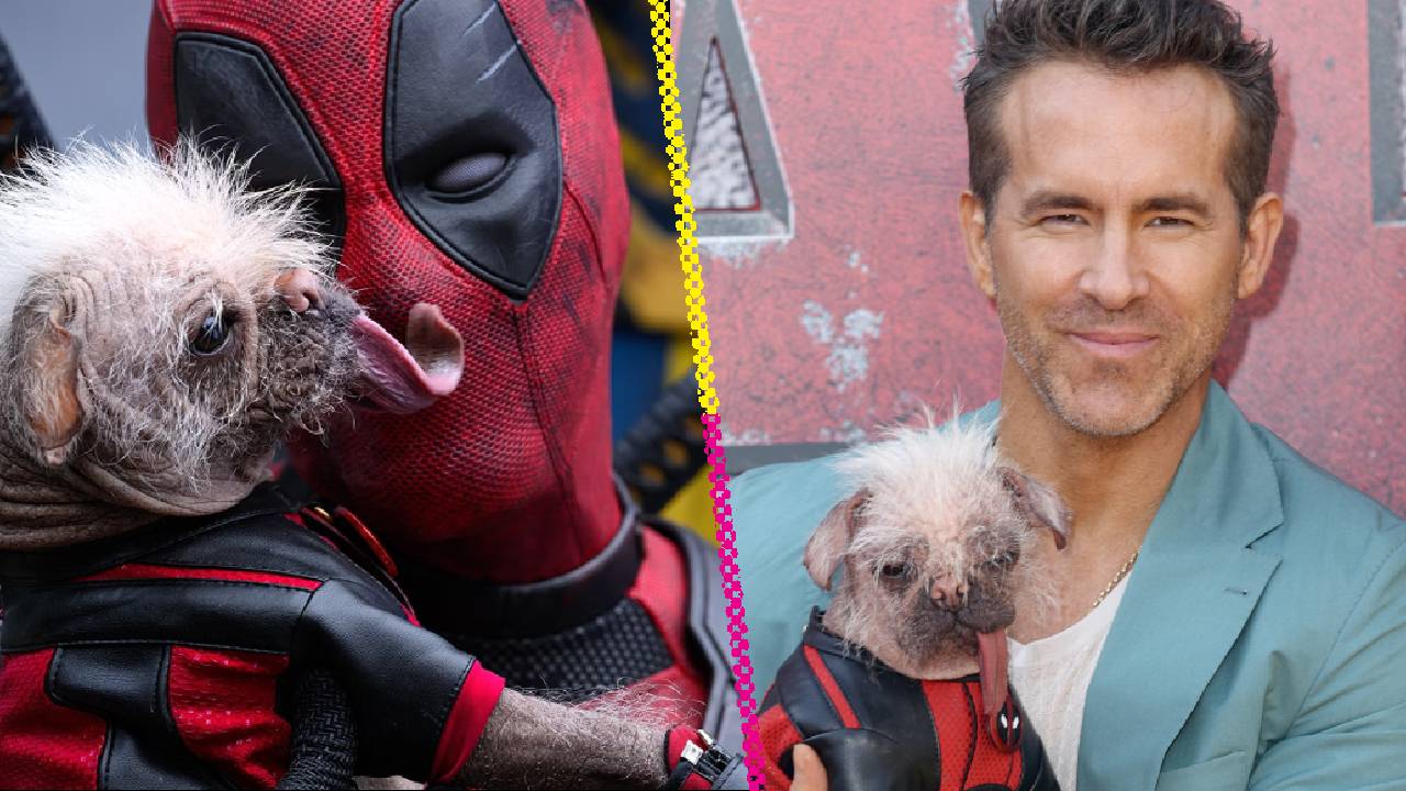  Peggy "La perra más fea del Reino Unido" es la estrella canina de "Deadpool & Wolverine"