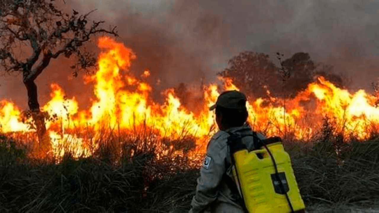 Santa Cruz declara emergencia por incendios y sequía