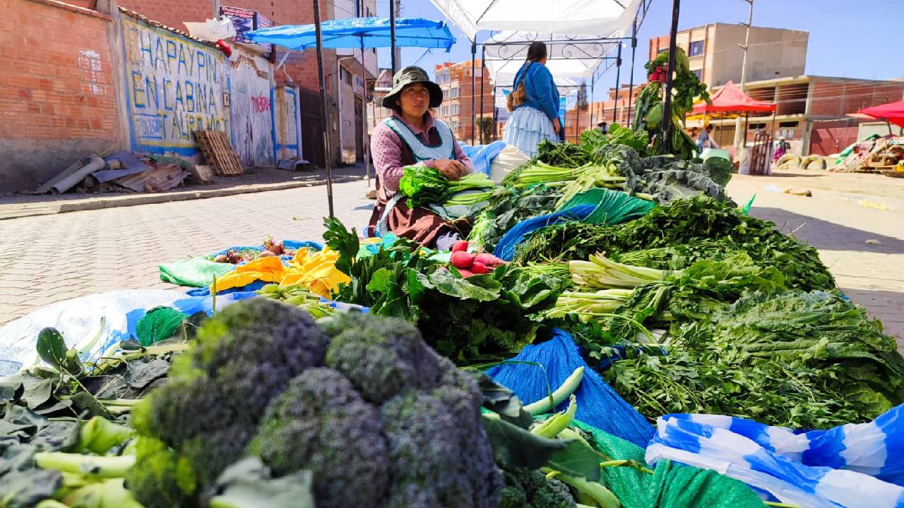 Los huertos urbanos en El Alto aportan a la soberanía alimentaria familiar 