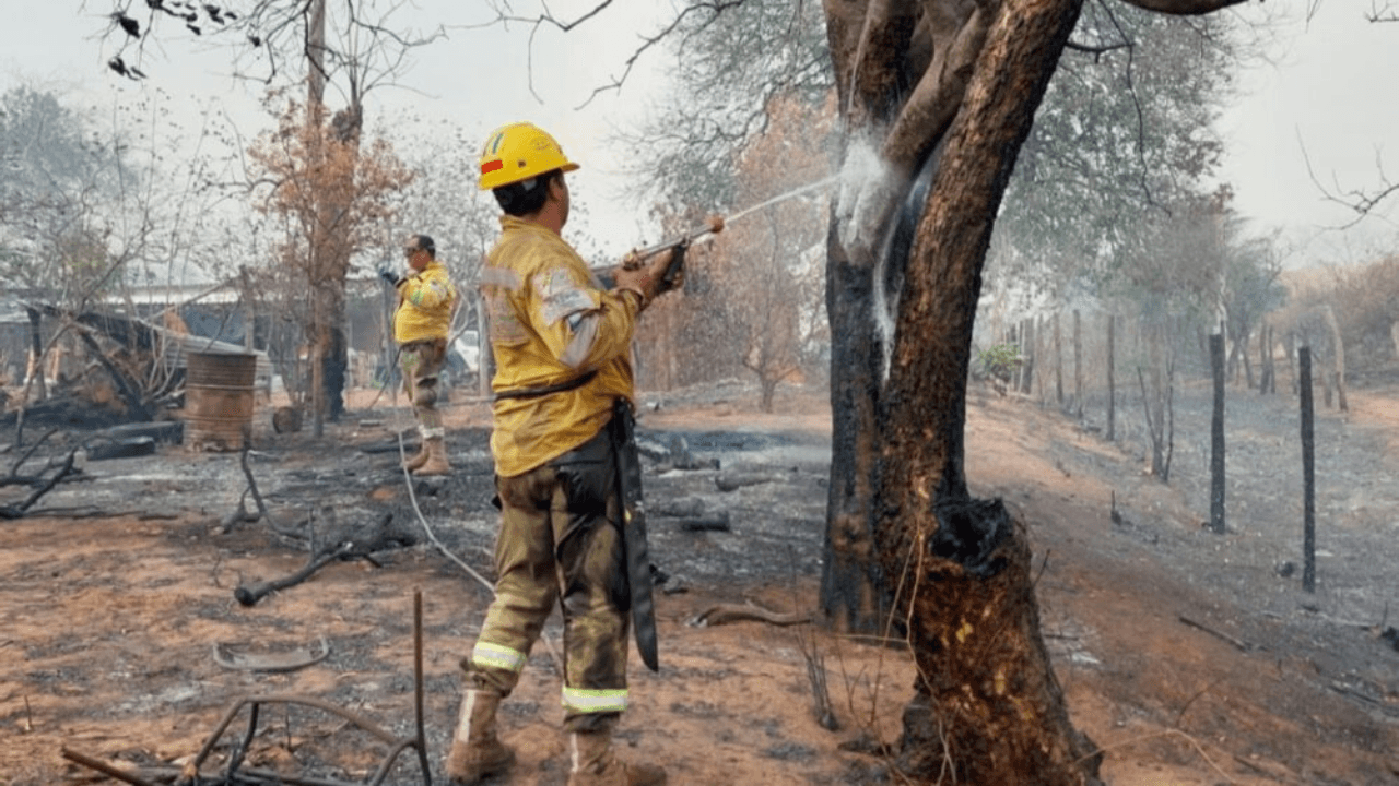 Santa Cruz enfrenta 23 incendios forestales activos y ocho municipios en desastre