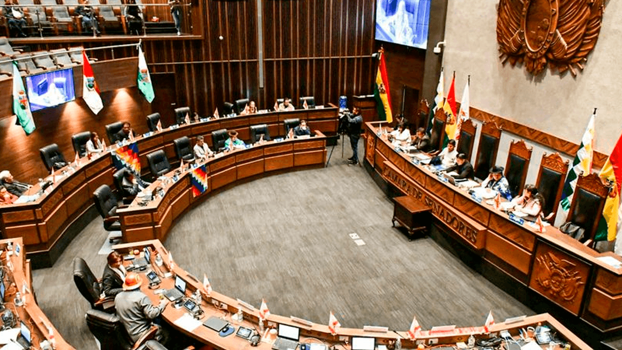 Asambleístas del MAS rechazan 11 proyectos de créditos por falta de transparencia y crisis económica