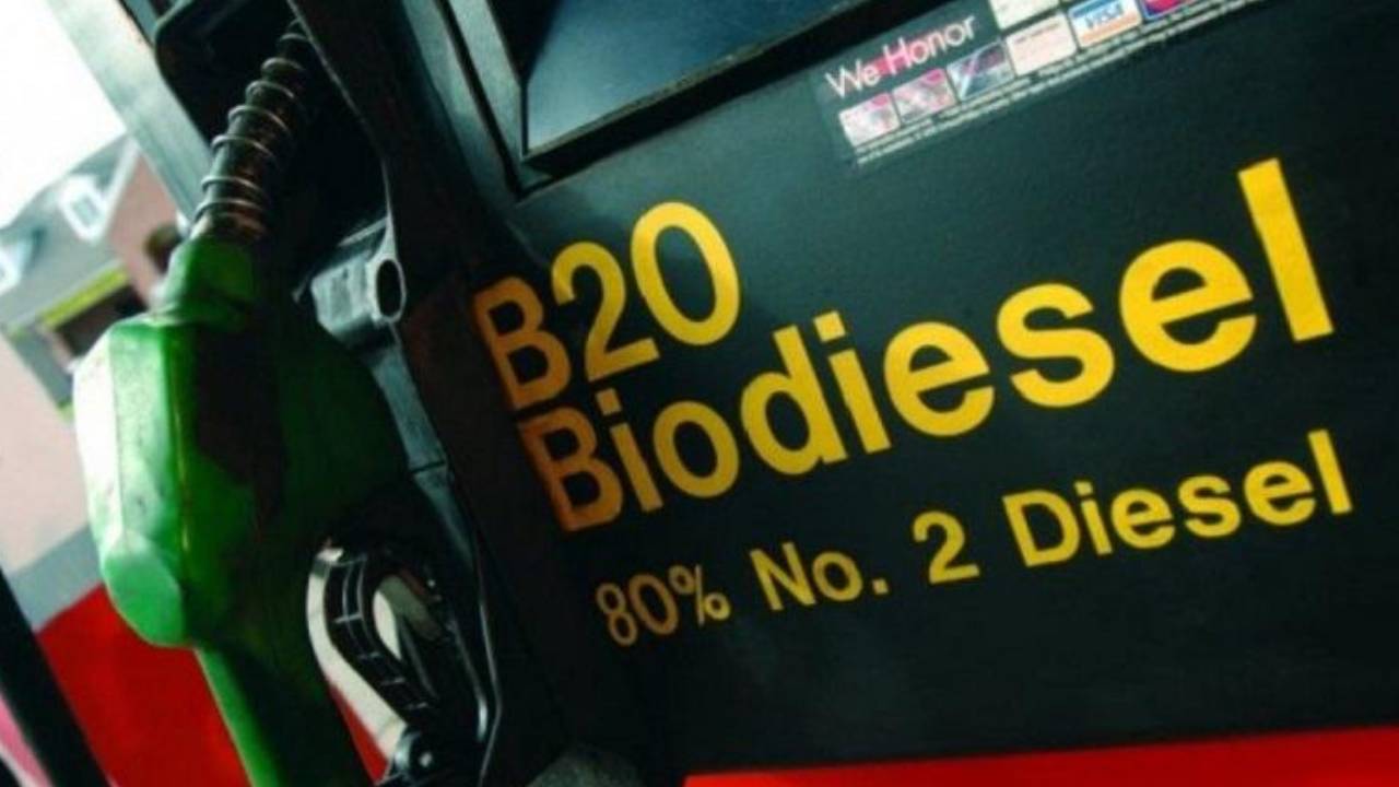 Gobierno prevé que "inicialmente" se use biotecnología para la producción de biodiésel