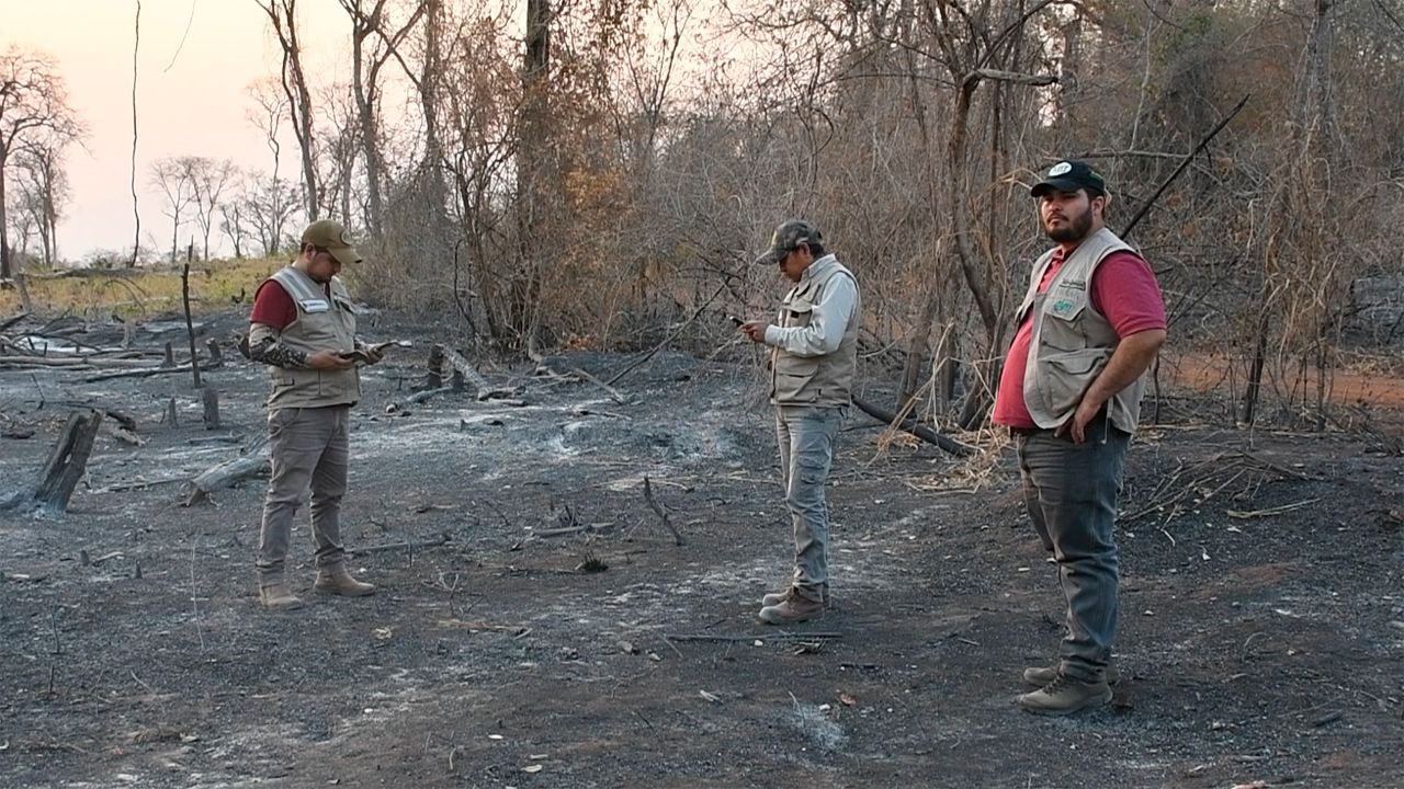 ABT inicia 48 procesos penales y emite 227 citaciones por desmontes y quemas ilegales