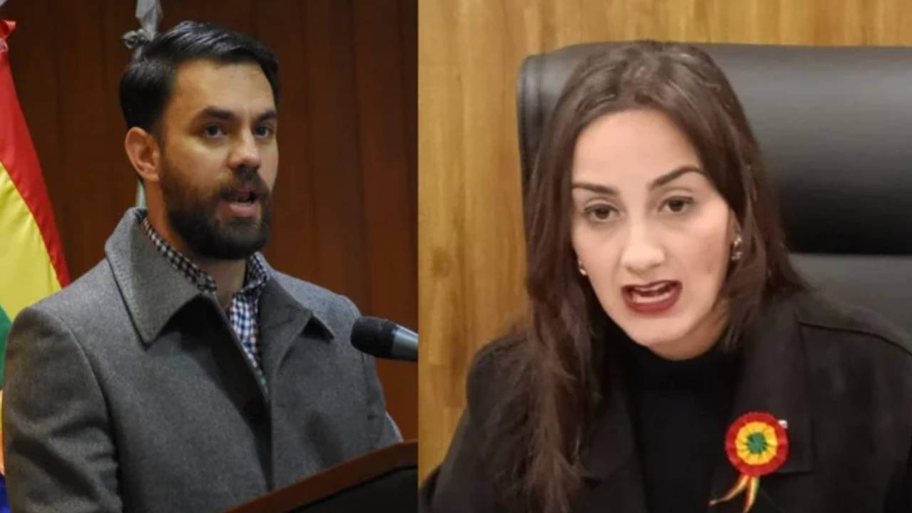 Ministro Del Castillo Replica a la Diputada Luisa Nayar: "Critica el Censo Pero No Tiene Hijos