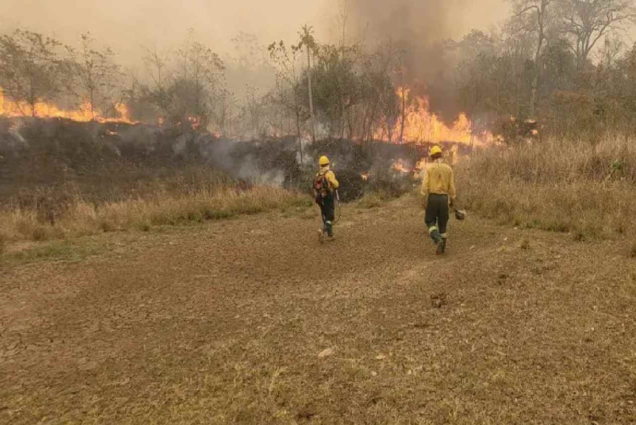  Brasil, Chile y Francia envían especialistas y brigadistas para reforzar las operaciones en el país