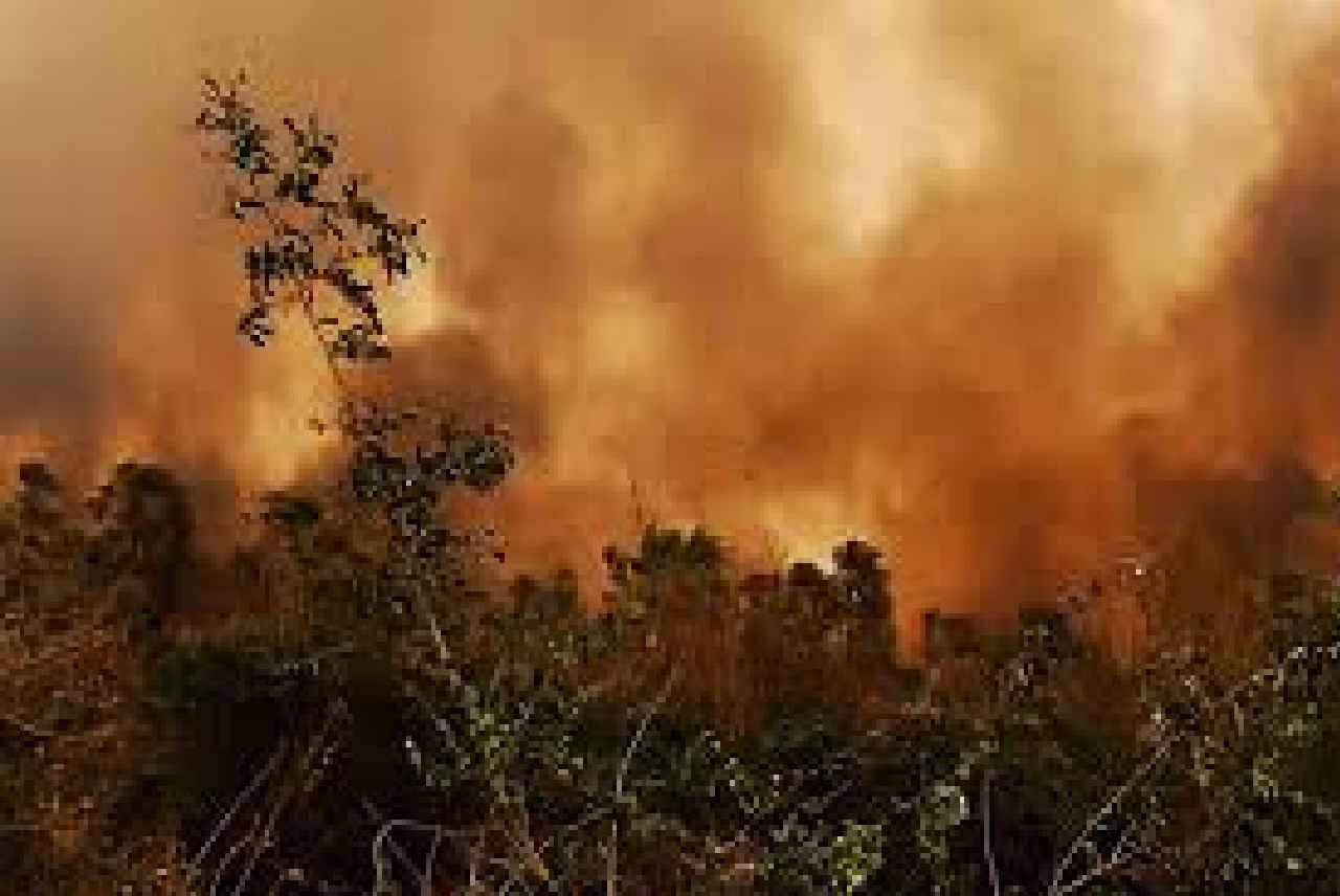  Santa Cruz se declara en desastre por incendios, Bolivia busca apoyo internacional
