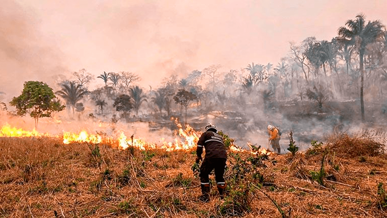 Bolivia enfrenta 10 incendios forestales que se extienden hasta 30 kilómetros