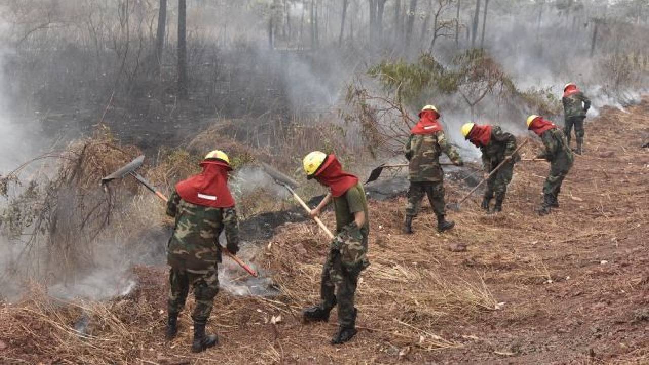 Obispos Bolivianos instan a una acción urgente frente a incendios forestales