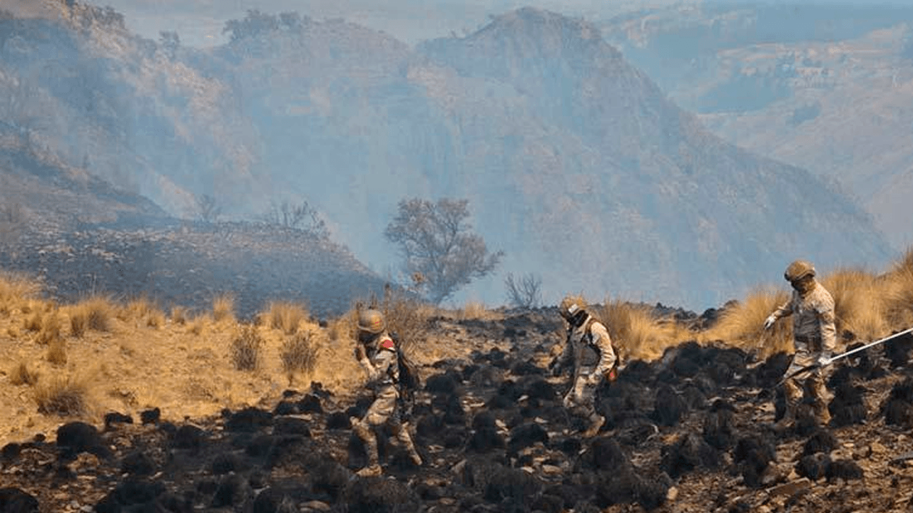 Incendio devasta más de 200 hectáreas en el parque nacional Tunari