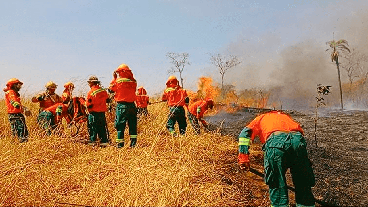 Fiscalía acelera investigación de 177 casos de incendios forestales en Bolivia