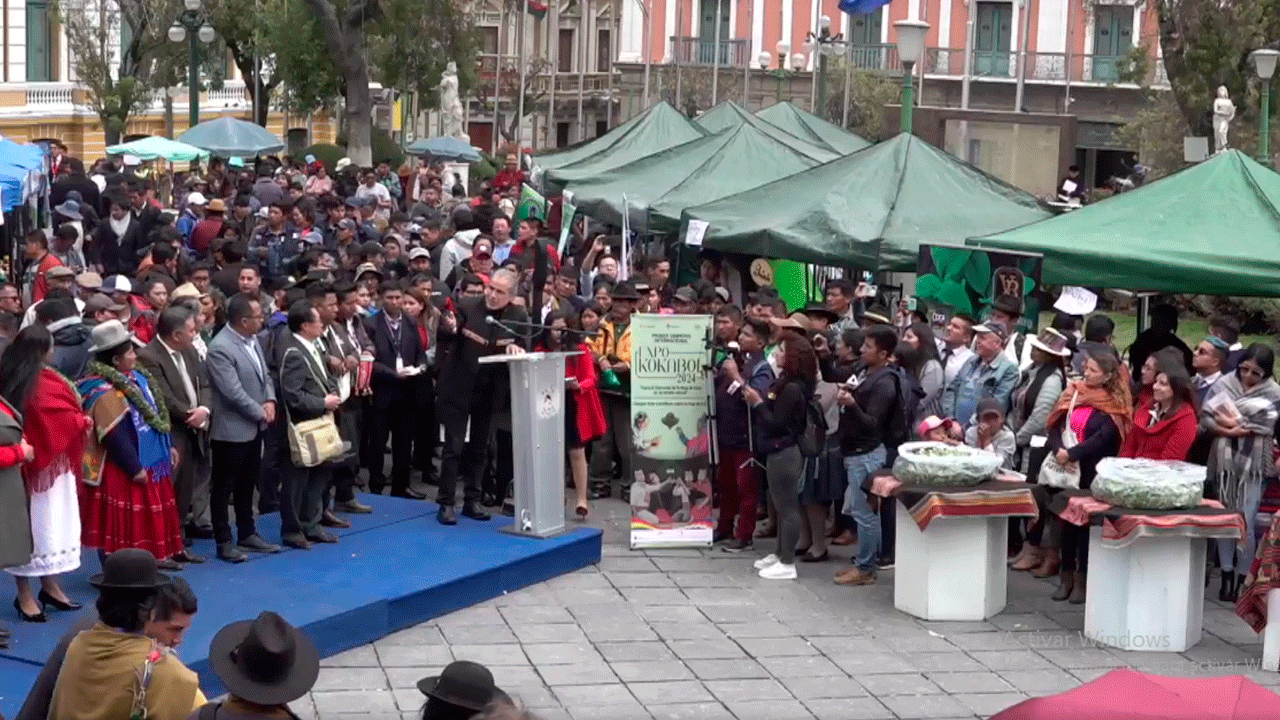 Bolivia intensifica actividades en defensa de la hoja de coca ante la ONU