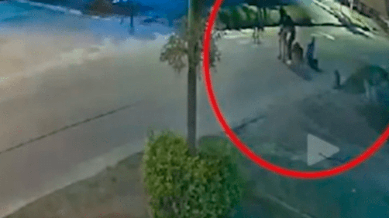 Tres pitbulls atacan a un adulto mayor en Santa Cruz y matan a su cachorro