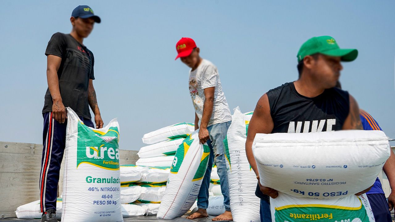 Santa Cruz consume el 63% de la urea producida por YPFB