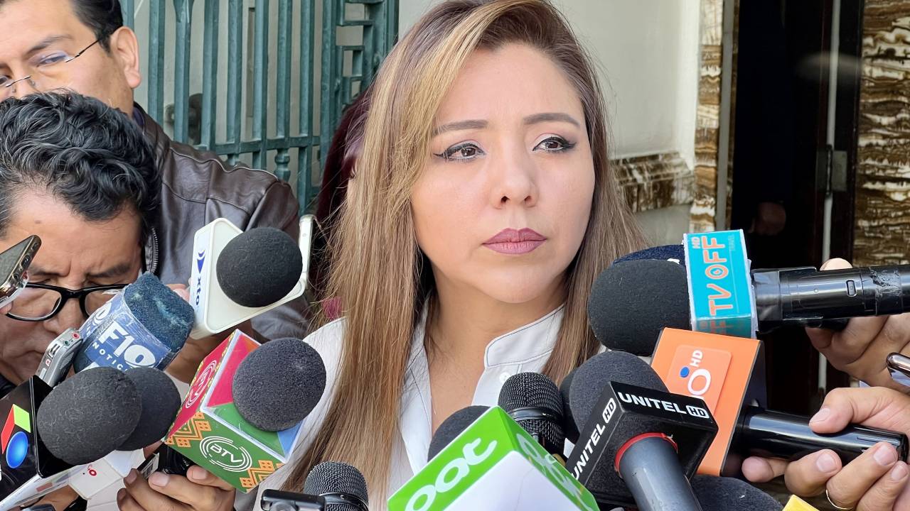 ¿Gobierno declarará desastre por incendios? Viceministra Alcón dice que “no se descarta ninguna acción”