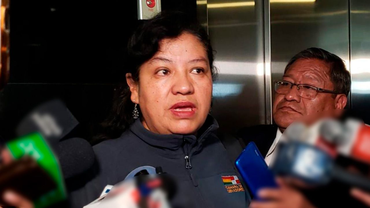 Senadora Daly Santa María: "Morales debe explicar las atrocidades del 2019"