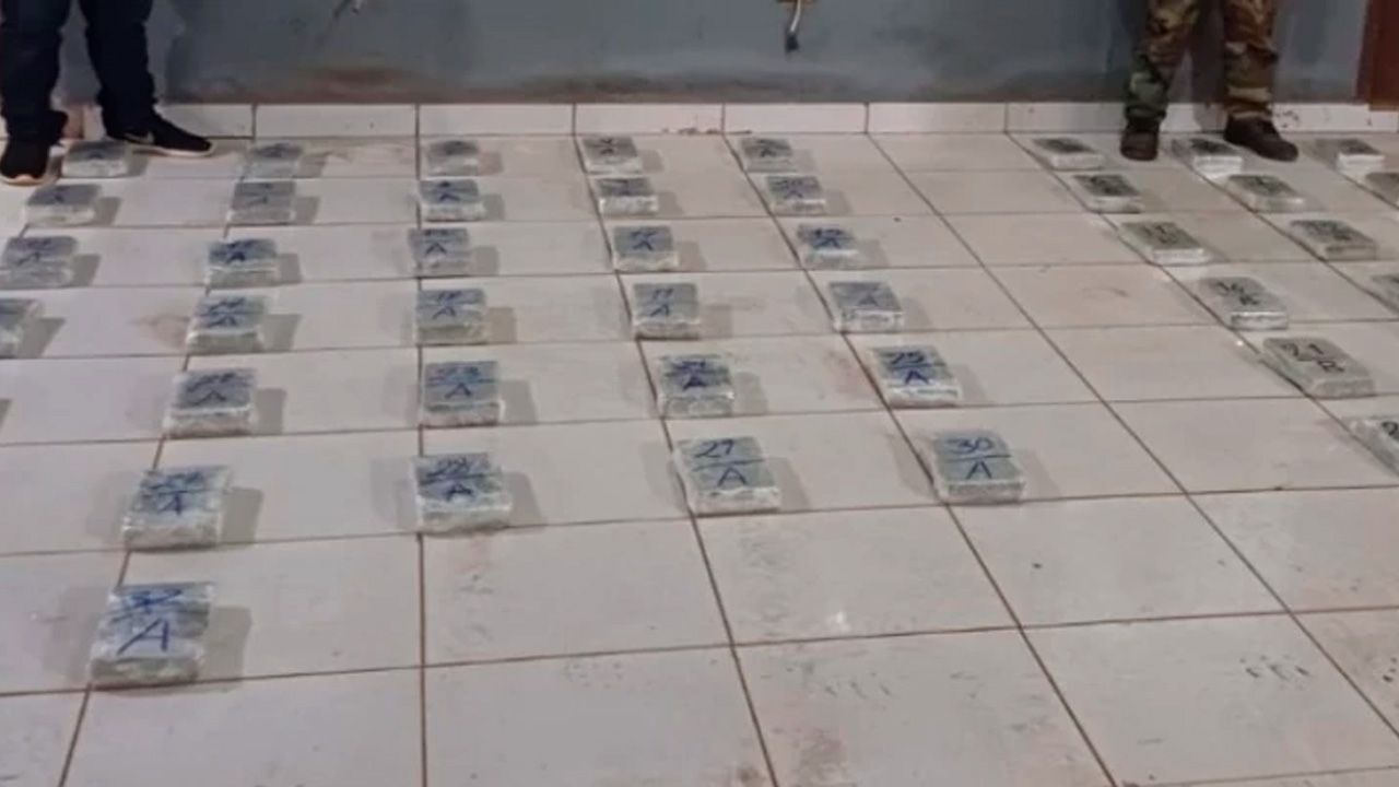 Fiscalía del Beni abre investigación por hallazgo de más de 66 kilos de marihuana en San Joaquín