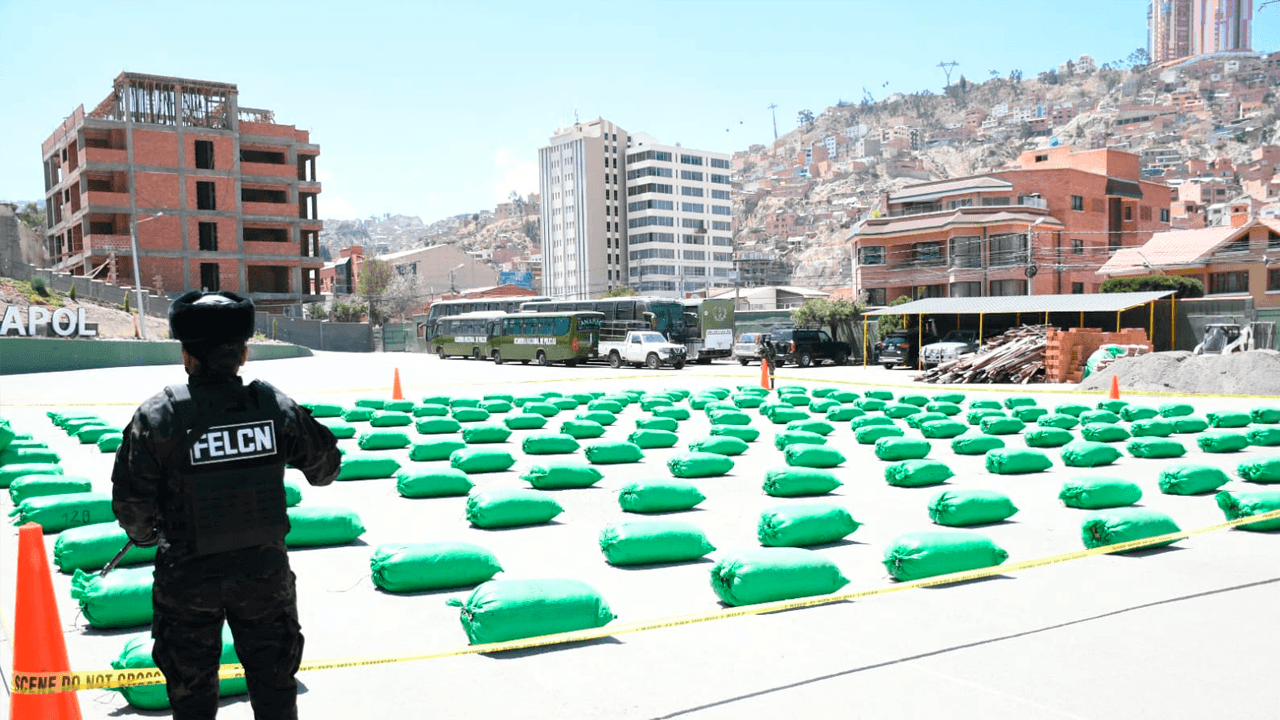 Destruyen 171 fábricas de droga en operativo antidroga en el Trópico
