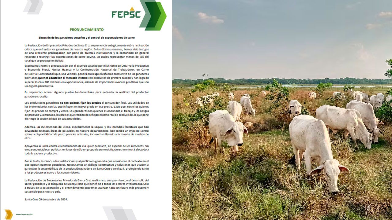 Pronunciamiento acerca de la preocupación por el futuro de la ganadería en Santa Cruz