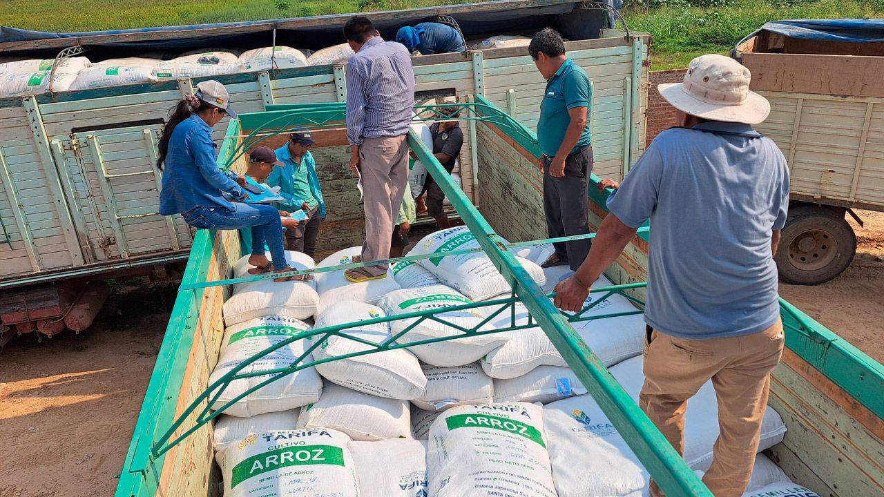 Emapa impulsa la producción de arroz con la entrega de más de 520 toneladas de semilla en Santa Cruz