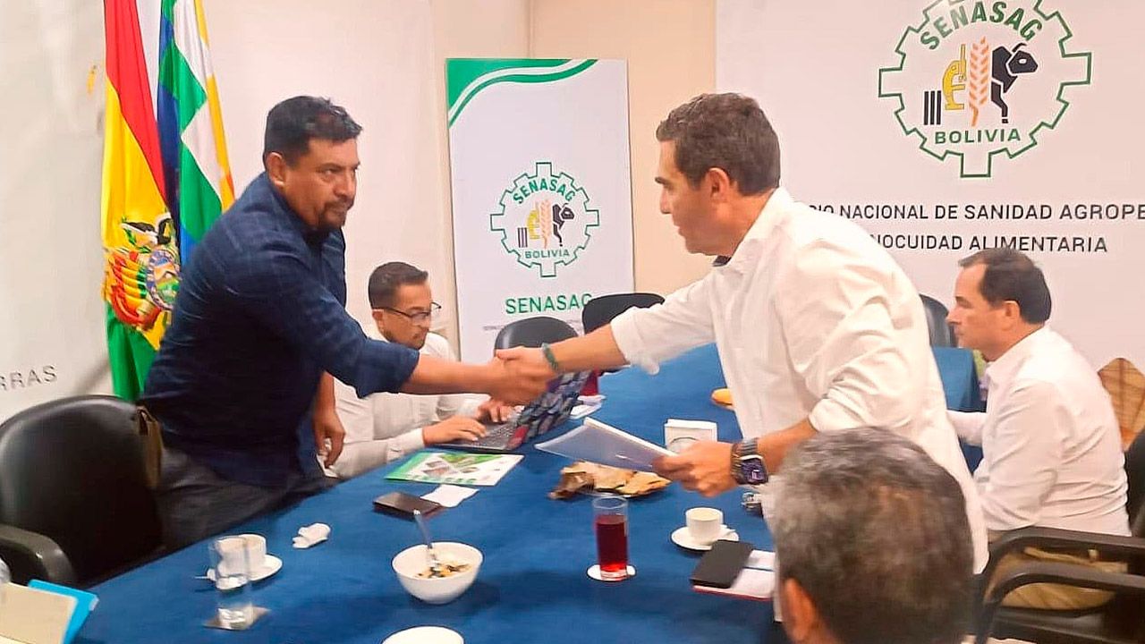 Gobierno autoriza uso de soya "HB4" resistente a la sequía para impulsar producción agrícola